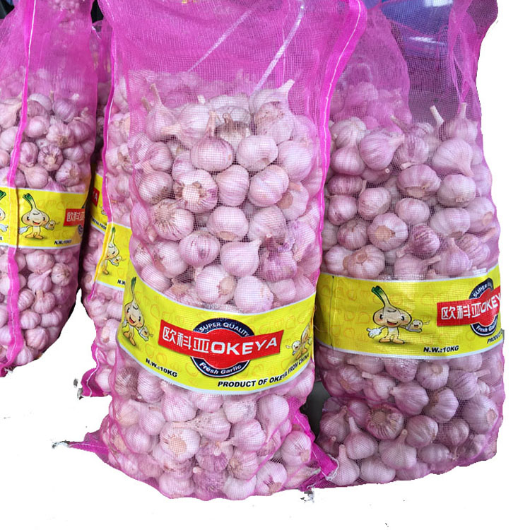 <b>Supply  garlic 10kg bag</b>