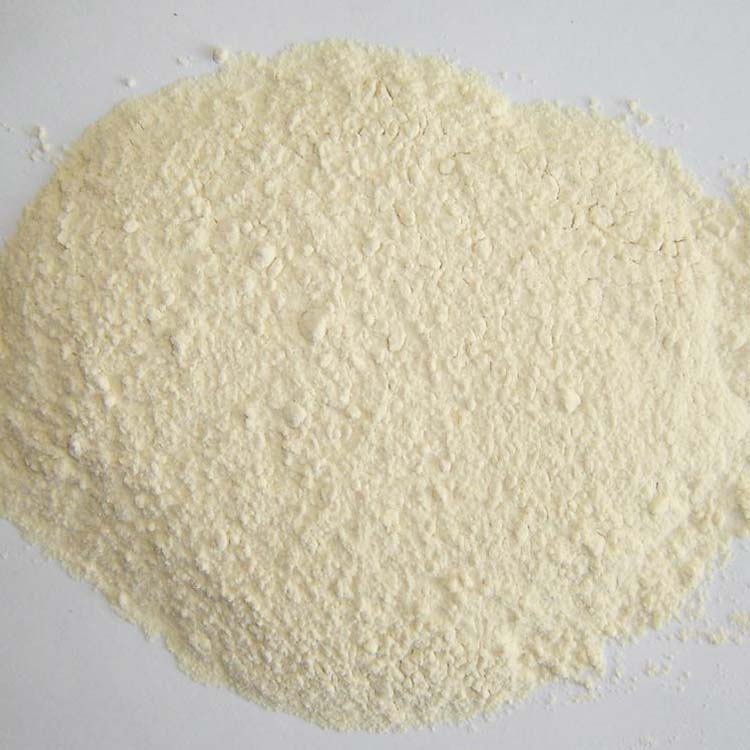 Supply Garlic powder